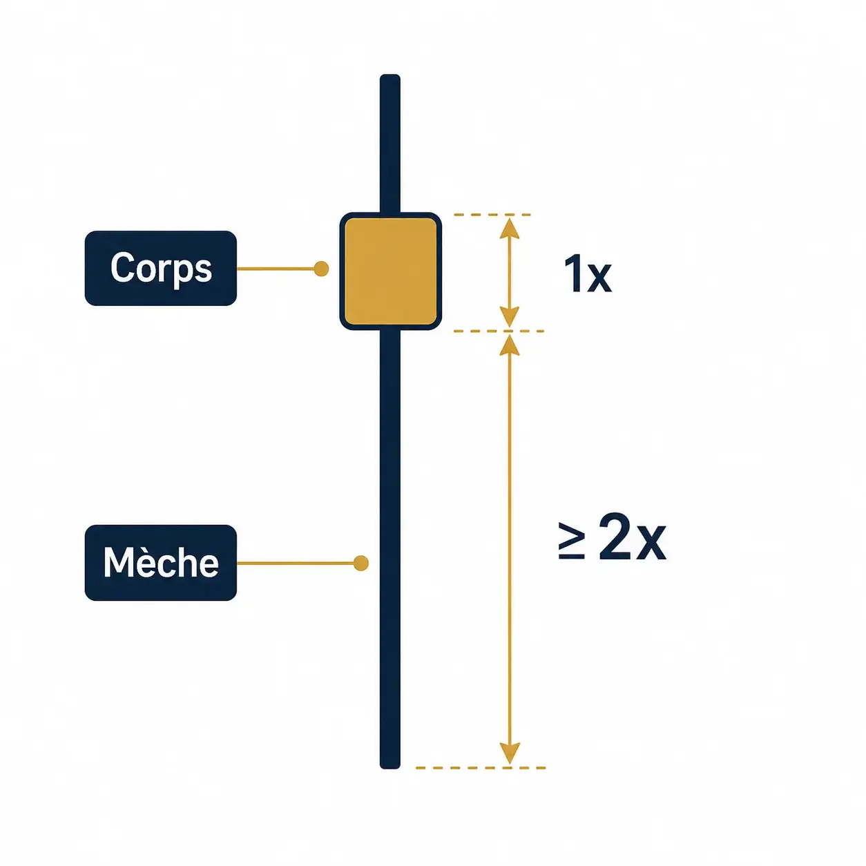 Schéma anatomique d'un pin bar : le corps et la mèche, la mèche devant mesurer au moins 2 fois la taille du corps